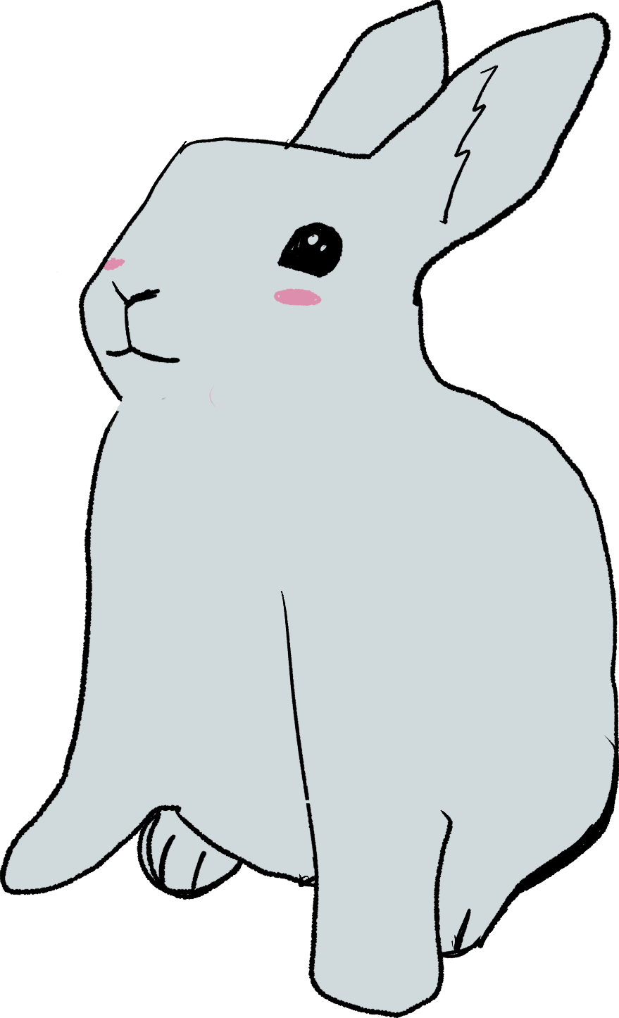 rabbit drawing